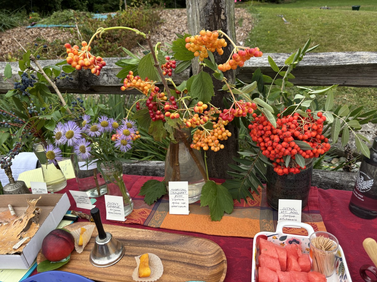Berries & flowers in autumn make colorful display
