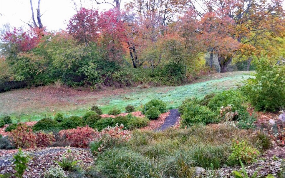 Fall in the Buck Lake Native Plant Garden