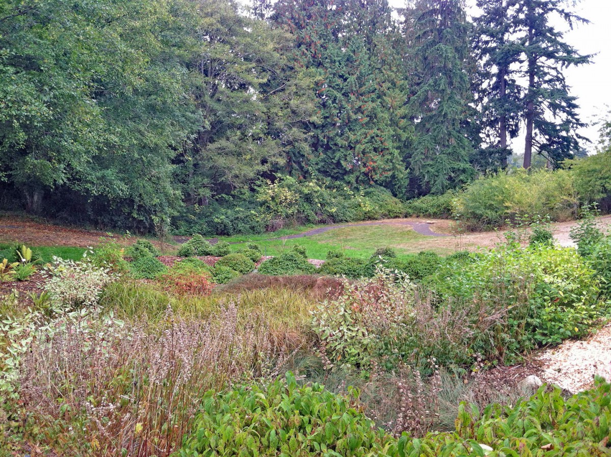 Buck Lake Native Plant Garden