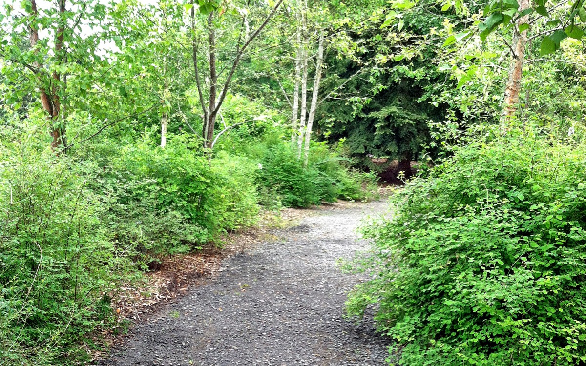 Buck Lake Native Plant Garden