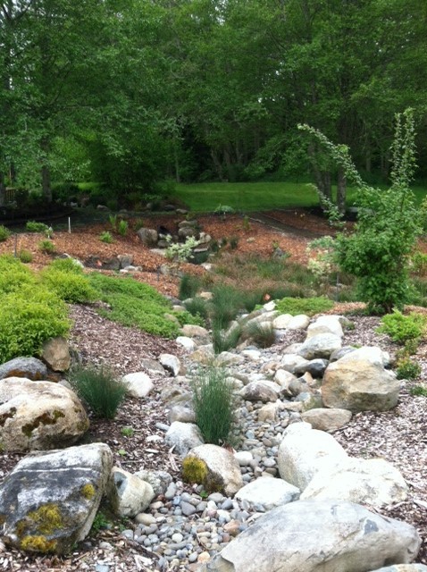 BLNPG Seasonal Streambed