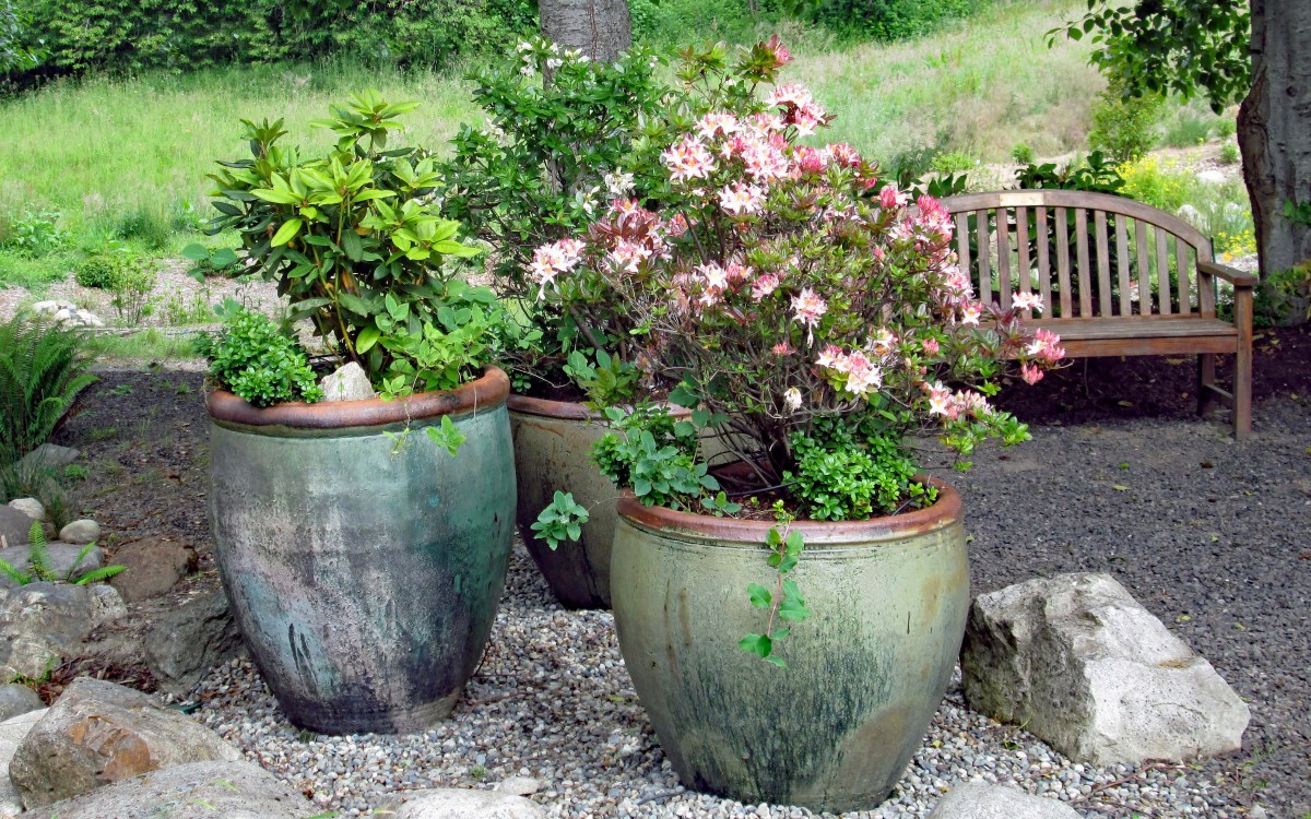 Buck Lake Native Plant Garden