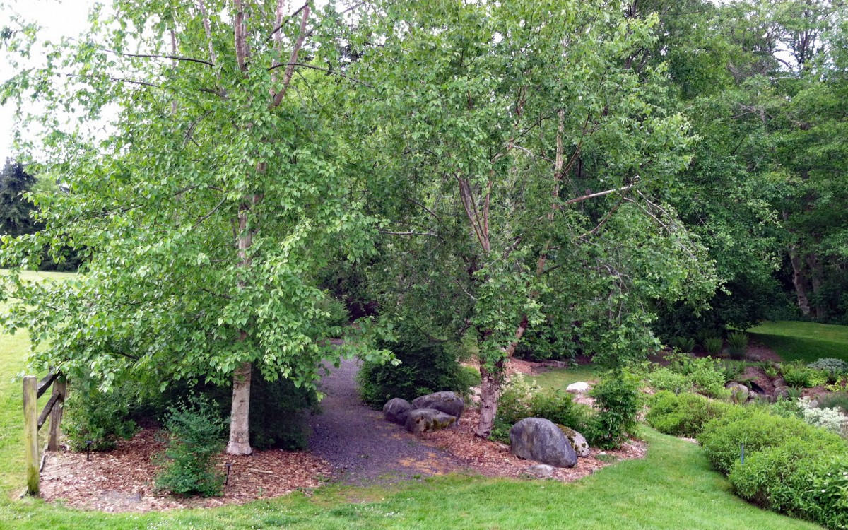 Buck Lake Native Plant Garden