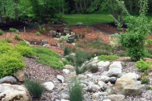 Dry or seasonal streambed in the Buck Lake Native Plant Garden