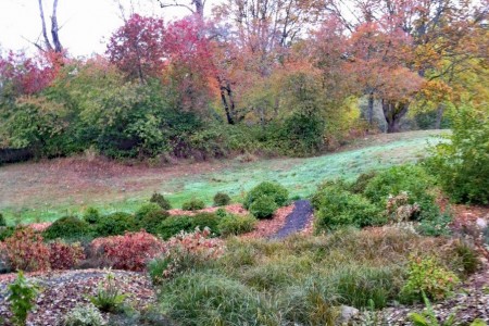 Fall in the Buck Lake Native Plant Garden