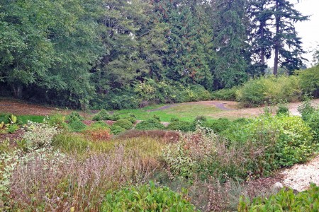 Buck Lake Native Plant Garden