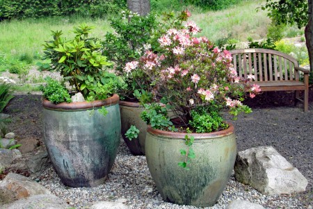 Buck Lake Native Plant Garden