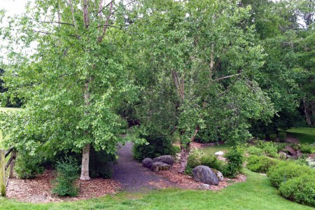 Buck Lake Native Plant Garden