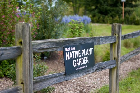 Welcome to Buck Lake Garden.