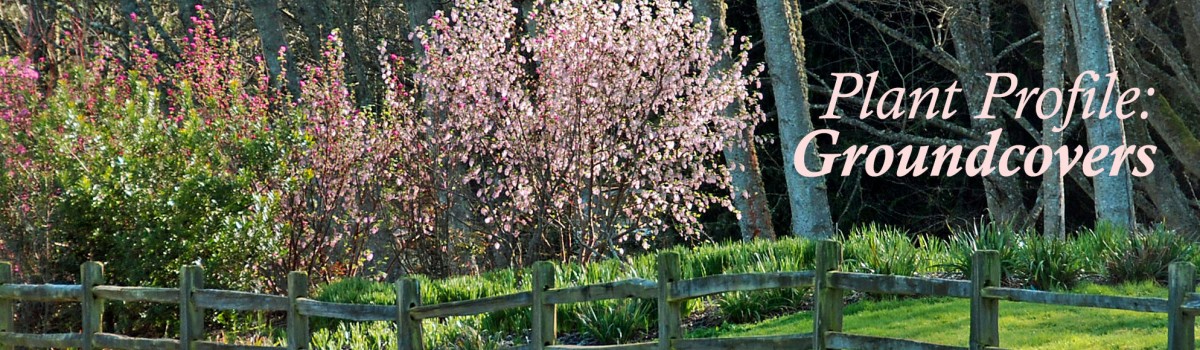 Buck Lake Native Plant Garden