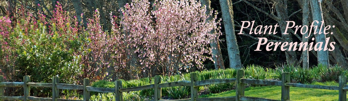 Buck Lake Native Plant Garden