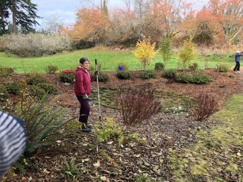 a gardener with tools.