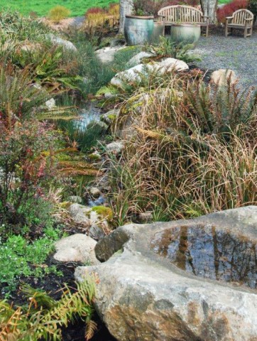 Dry or seasonal streambed in the Buck Lake Native Plant Garden Dry or seasonal streambed in the Buck Lake Native Plant Garden