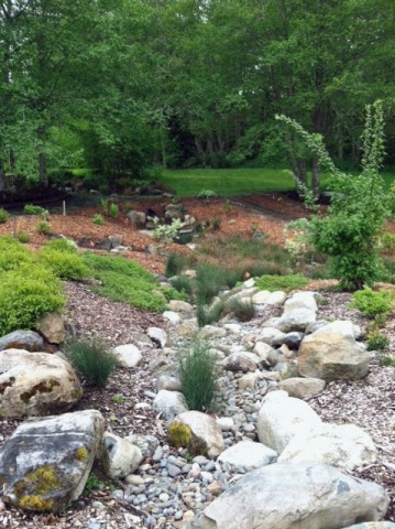 Dry or seasonal streambed in the Buck Lake Native Plant Garden Dry or seasonal streambed in the Buck Lake Native Plant Garden