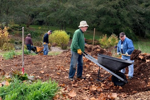 Two people load a wheelbarrow with mulch.