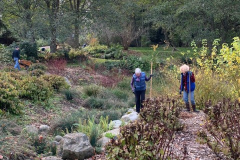 Two women work in the garden.