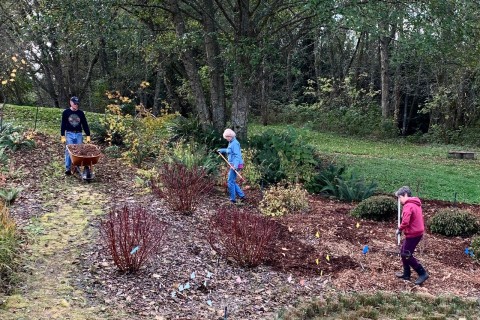 Three people work in the garden.