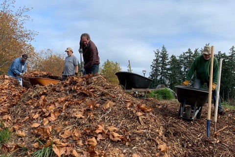 Man digging on top of a compost pile.