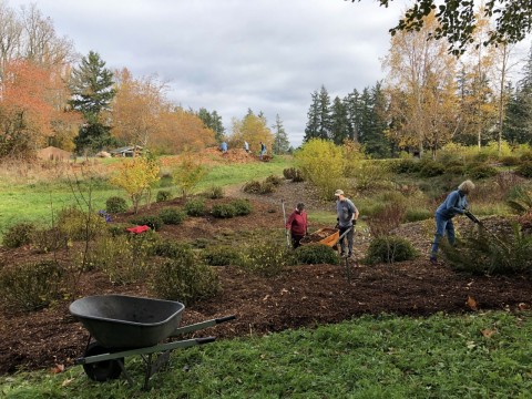 Horizon view of the garden.